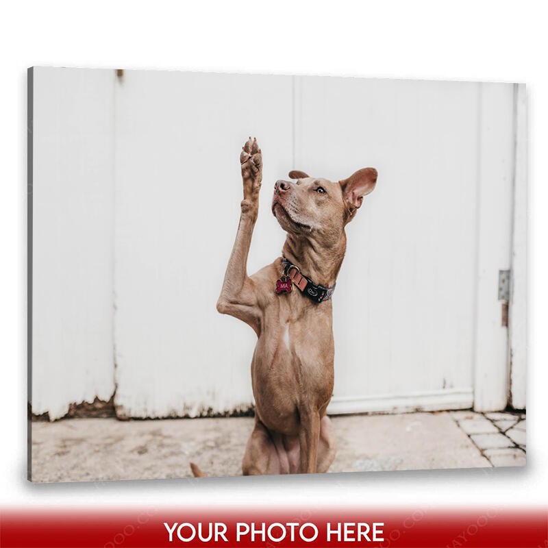 22 Touching Pet Memorial Ideas To Honor Your Furry Friends 3 customized pet canvas