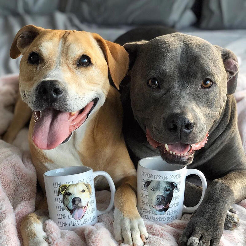 22 Touching Pet Memorial Ideas To Honor Your Furry Friends 11 customized pet mug