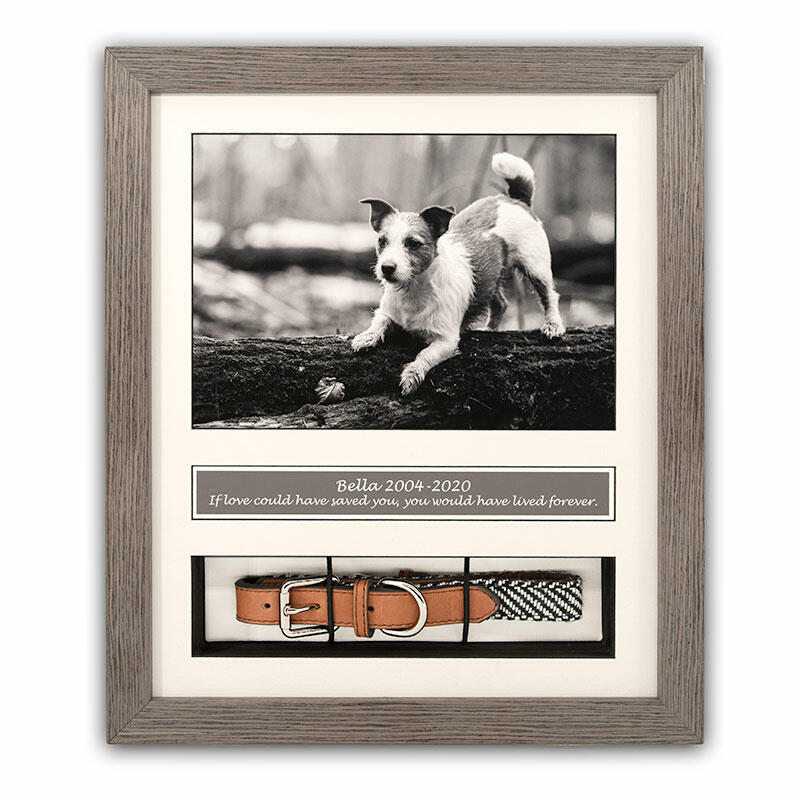 22 Touching Pet Memorial Ideas To Honor Your Furry Friends 8 pet collar frame