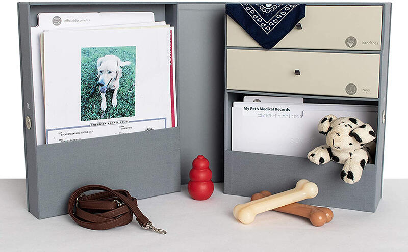 22 Touching Pet Memorial Ideas To Honor Your Furry Friends 9 pet memory box