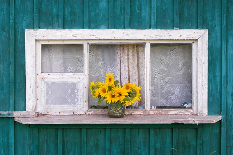 15+ Awesome Sunflower Kitchen Decor Ideas To Liven Up Your Space 2 sunflower kitchen decor