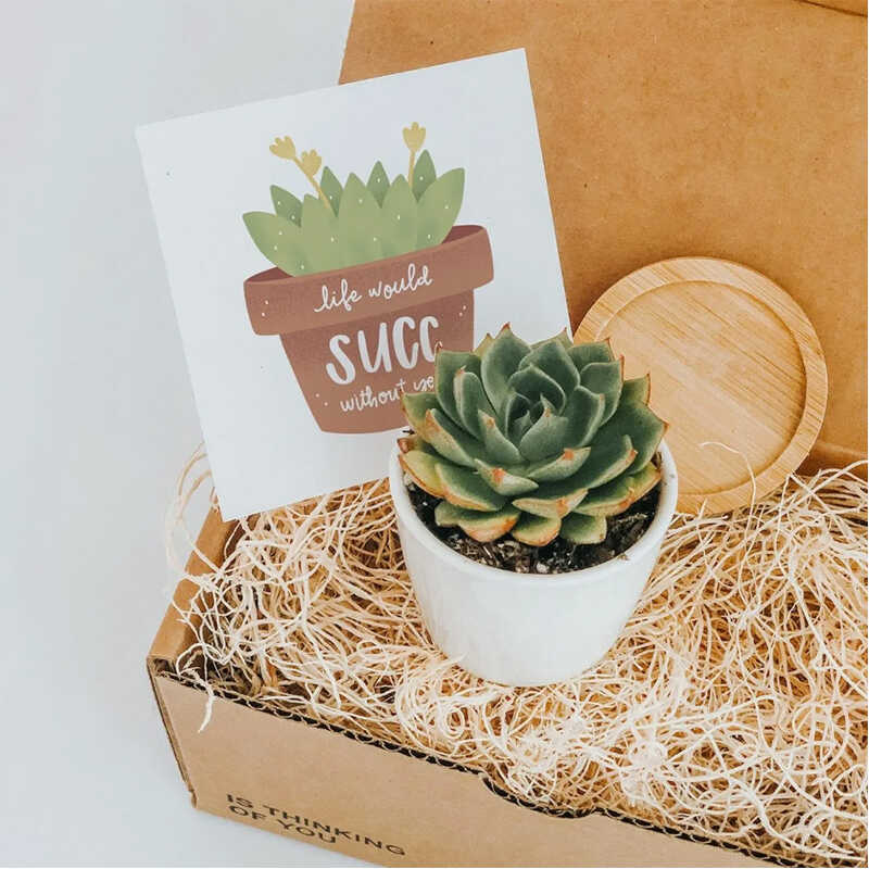 30+ Romantic Valentine's Day Gifts For Wife To Unwrap This Year 23 valentine gifts for wife