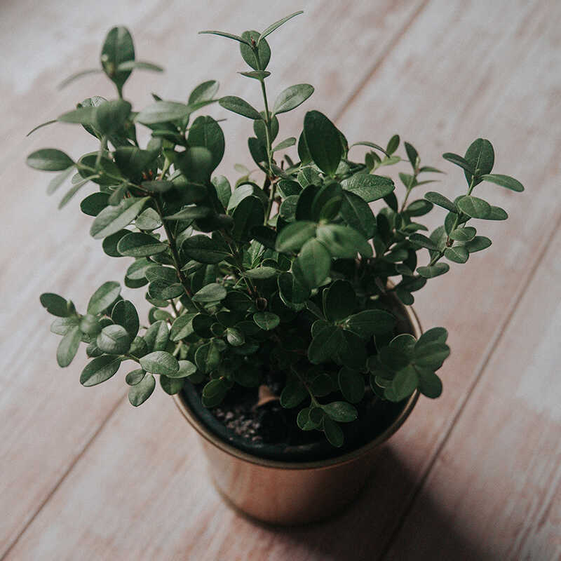 30+ Best Mother's Day Gifts For 2022 She Will Love 12 mother’s day gifts
