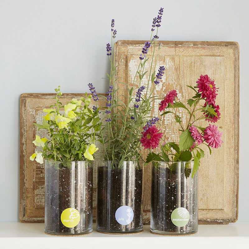 15 Best Anniversary Gifts For Parents They’ll Love 8 anniversary gifts for parents
