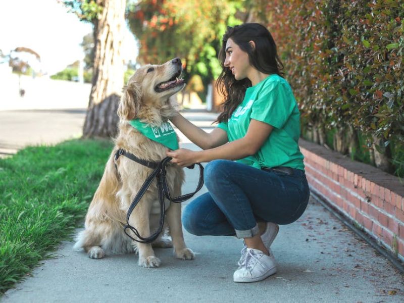 How To Teach A Dog Its Name In 4 Foolproof Steps-New Tricks 11 Teach A Dog Its Name