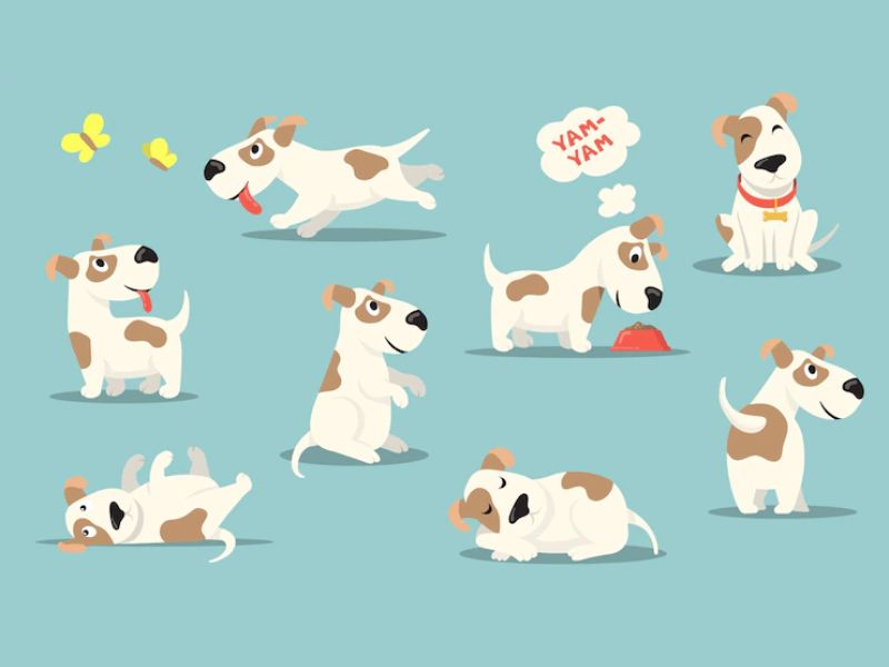 18 Expert Dog Training Tips &Amp; Techniques That Actually Work 14 The Most Helpful Dog Training Tips You Should Notice