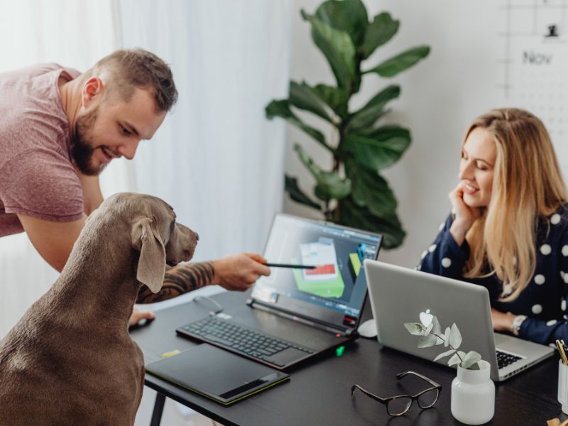 18 Expert Dog Training Tips &Amp; Techniques That Actually Work 15 Obedience Dog Training Tips