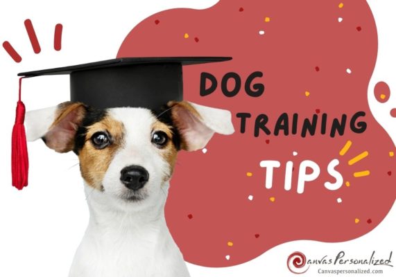 18 Expert Dog Training Tips &Amp; Techniques That Actually Work 24 Dog Training Tips From Canvas Personalized