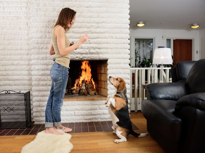 How To Teach A Dog To Stay In 7 Steps? 10 Teach A Dog To Stay In A Quiet Place