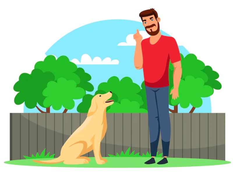 How To Teach A Dog To Stay In 7 Steps? 13 Increasing Your Dog Staying Time