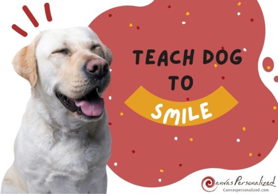 How To Teach A Dog To Smile: A Step-By-Step Guide To Canine Grins 25 Canvas Personalized Beautiful You Fly Wall Art Decor