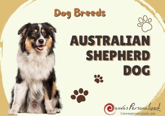 Canvas Personalized Beautiful You Fly Wall Art Decor