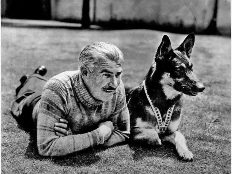German Shepherd Dog: Background &Amp; How To Care For Them 26 The German Shepherd Dog Rin Tin Tin