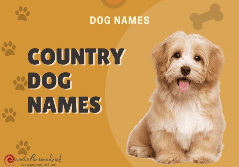 Best 480 Inspired Country Dog Names For Your Furry Friend
