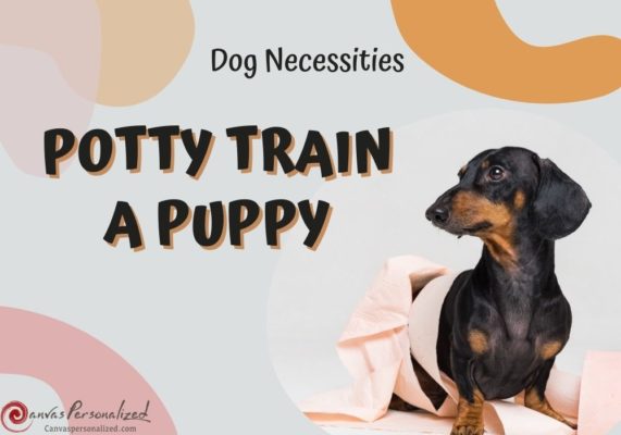 How To Potty Train A Puppy Fast: A Step-By-Step Guide Easily