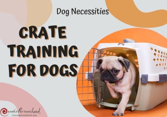 5 Easily Steps For Crate Training For Dogs You Should Know