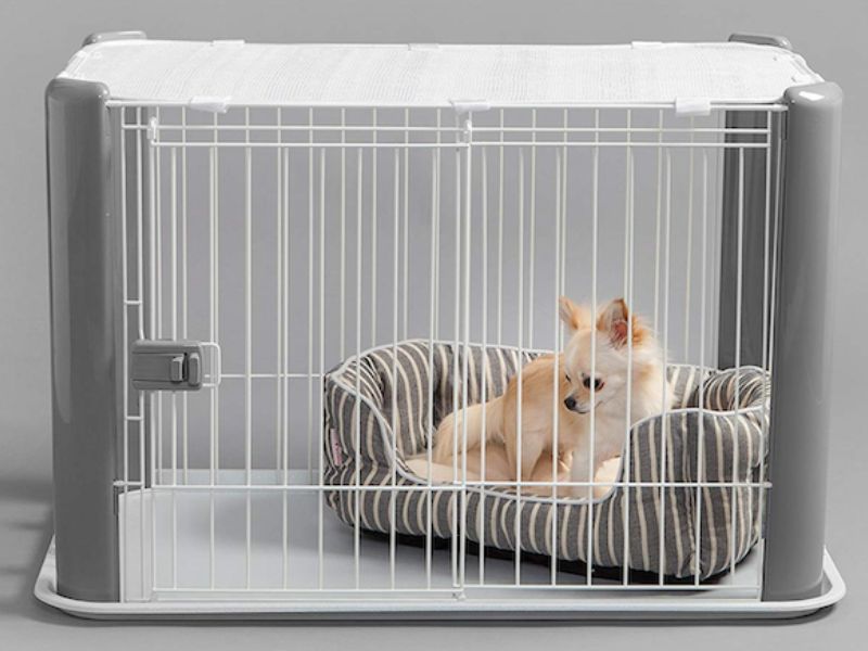 5 Easily Steps For Crate Training For Dogs You Should Know