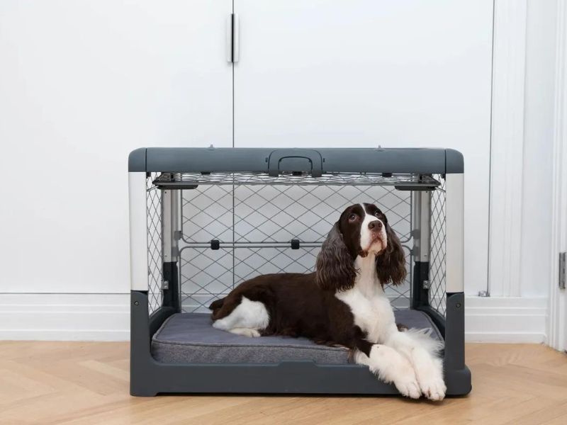 5 Easily Steps For Crate Training For Dogs You Should Know 25 Extend The Crate Training Time