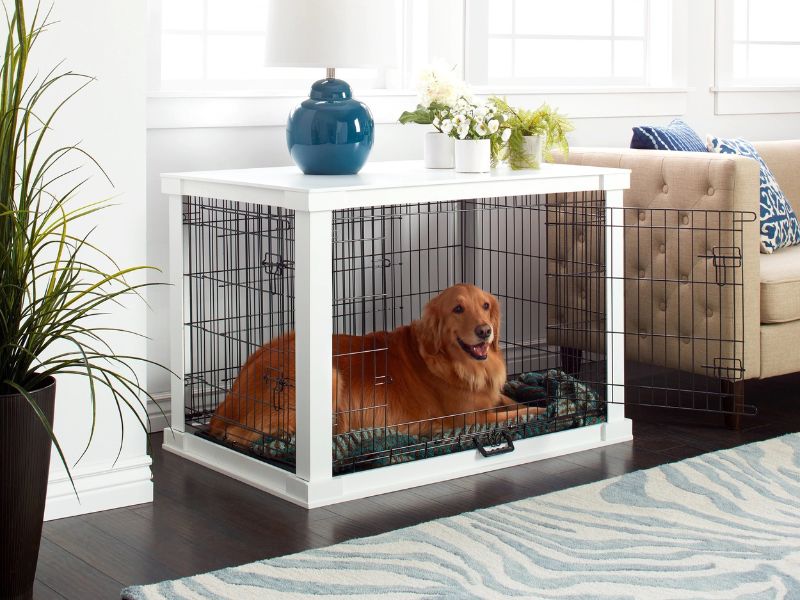 5 Easily Steps For Crate Training For Dogs You Should Know 31 Ideal Place For Dog'S Crate