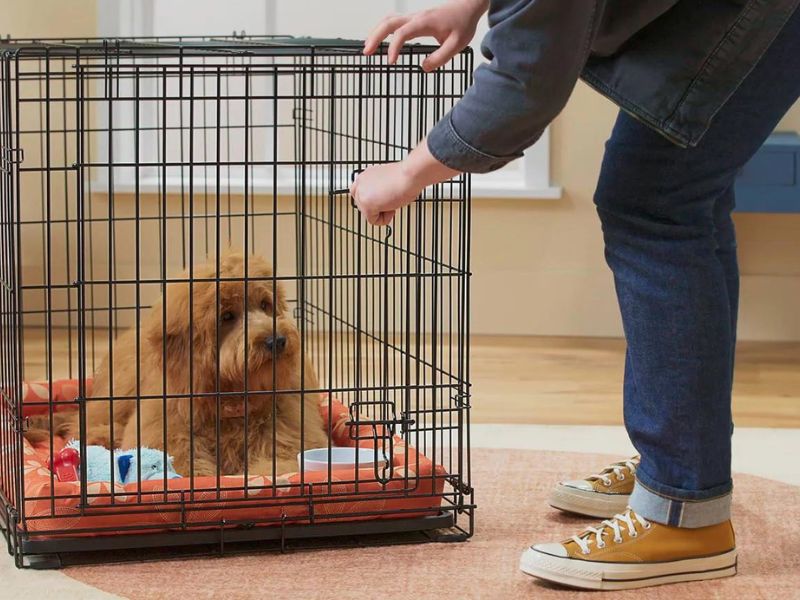 How To Potty Train A Puppy Fast: A Step-By-Step Guide Easily 24 Crate Training For Doggie Potty Training