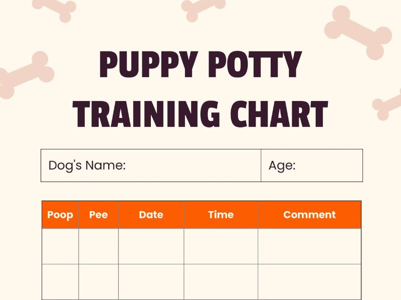 How To Potty Train A Puppy Fast: A Step-By-Step Guide Easily 26 Potty Training Schedule For A New Puppy