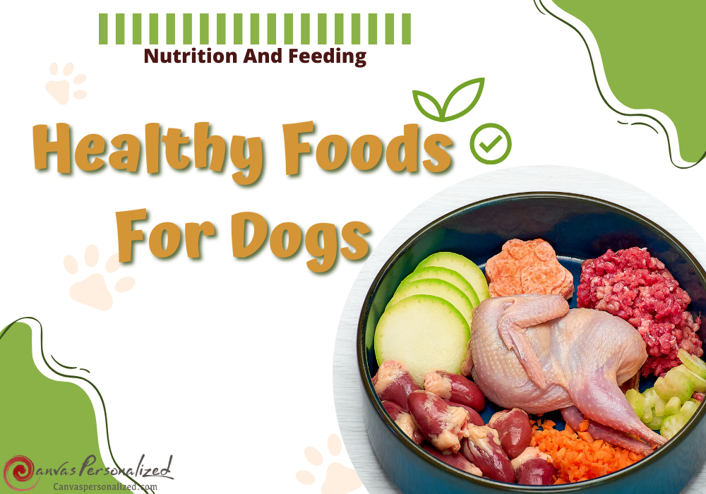 Best 20+ Healthy Foods For Dogs You Can Find In The Kitchen 8 Best 20+ Healthy Foods For Dogs You Can Find In The Kitchen