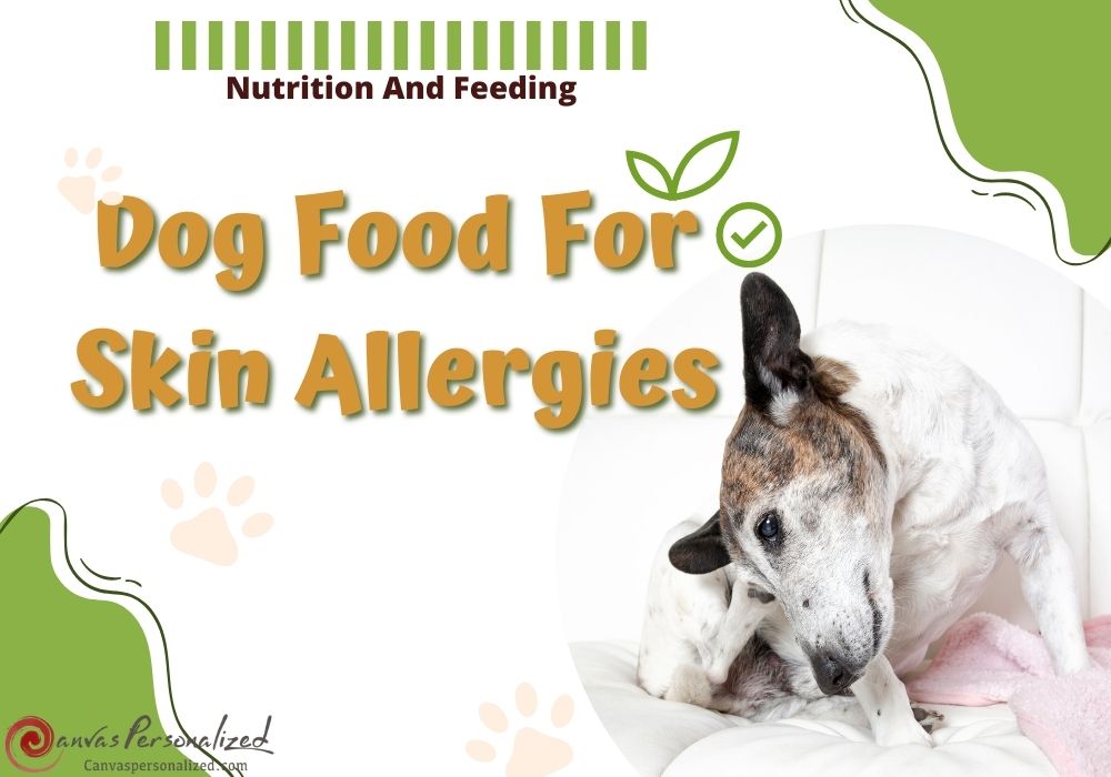 Best 15 Vet-Recommended Dog Food For Skin Allergies 19 Best 31 Vet-Approved Dog Food For Skin Allergies You Should Know
