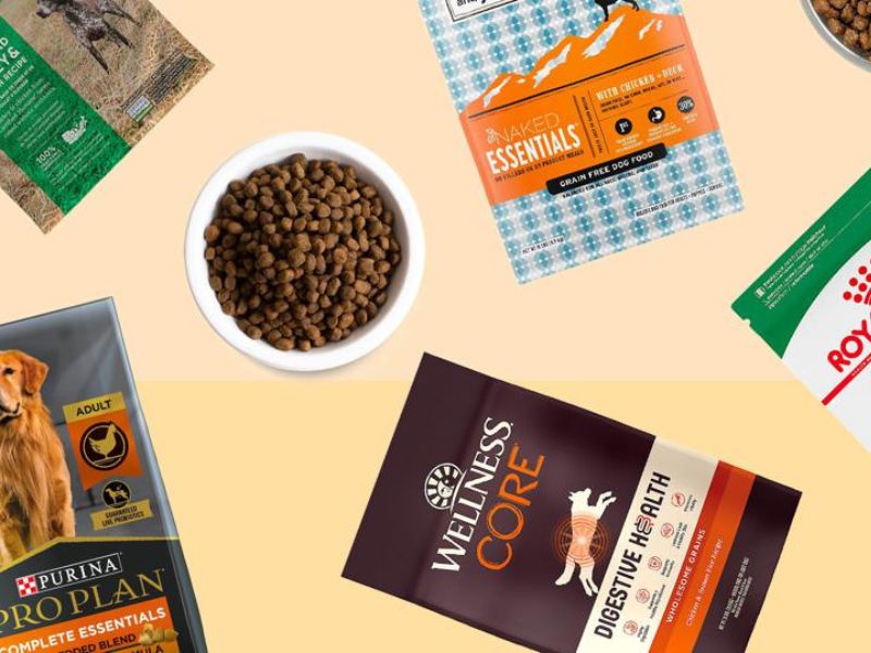 Best 15 Vet-Recommended Dog Food For Skin Allergies 22 What Is The Best Dog Food For Skin Allergies?