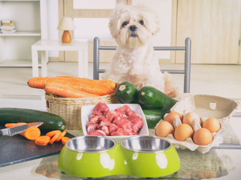 Best 20+ Healthy Foods For Dogs You Can Find In The Kitchen 9 Healthy Foods For Dogs