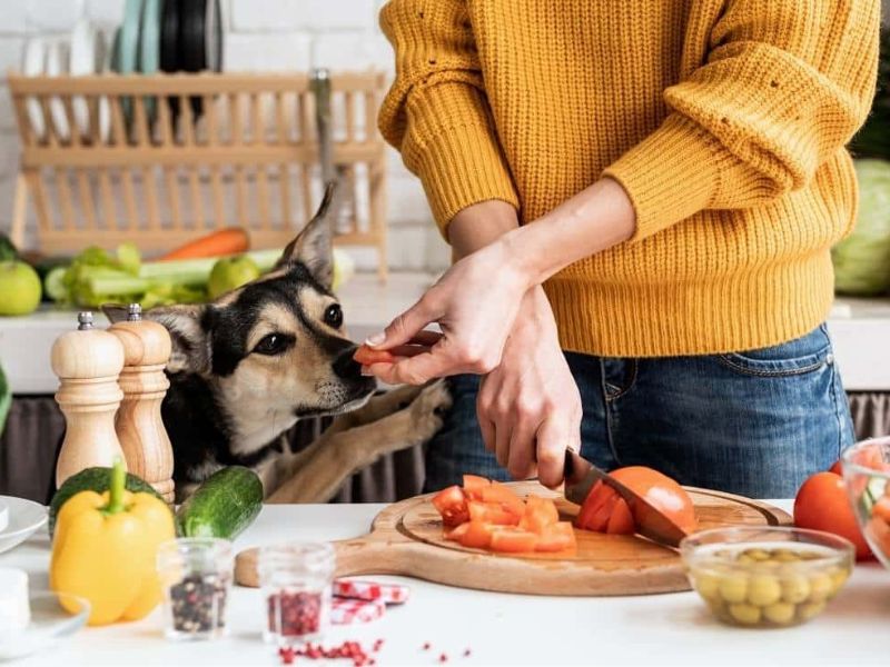 Best 20+ Healthy Foods For Dogs You Can Find In The Kitchen 12 Human Foods Healthy For Dogs