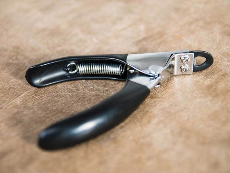How To Trim Dog Nails That Are Overgrown At Home Safely 19 How To Trim Dog Nails