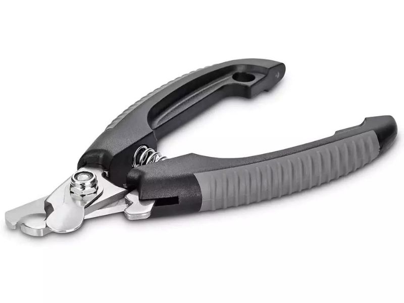 How To Trim Dog Nails That Are Overgrown At Home Safely 21 How To Clip Dog Nails