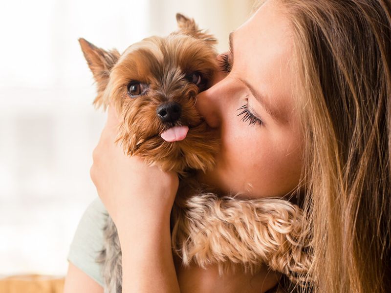 Dogs Disclosed - KEEP YOUR DOG'S BRAIN HAPPY Providing mental stimulation  for dogs is often overlooked, but is so important in helping dogs to be  happy, relaxed and content by giving them