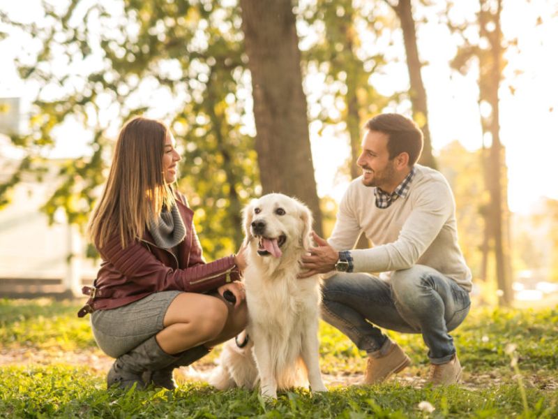 Top 40 Helpful Dog Care Tips For A Healthy And Happy Pet 49 Dog Care Tips