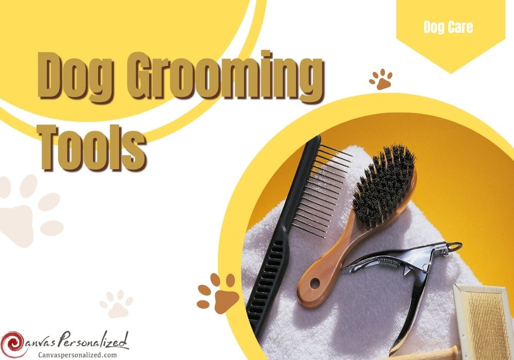 17 Best Professional Dog Grooming Tools For Pups Look Great 20 17 Best Professional Dog Grooming Tools For Pups Look Great