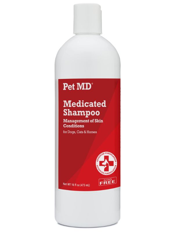 Best 10 Natural Antifungal Dog Shampoos For Dog'S Skin Healthy 23 Antifungal Shampoos For Dogs