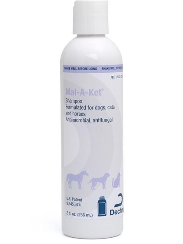 The Best 10 Antifungal Dog Shampoos For Dog's Skin Healthy