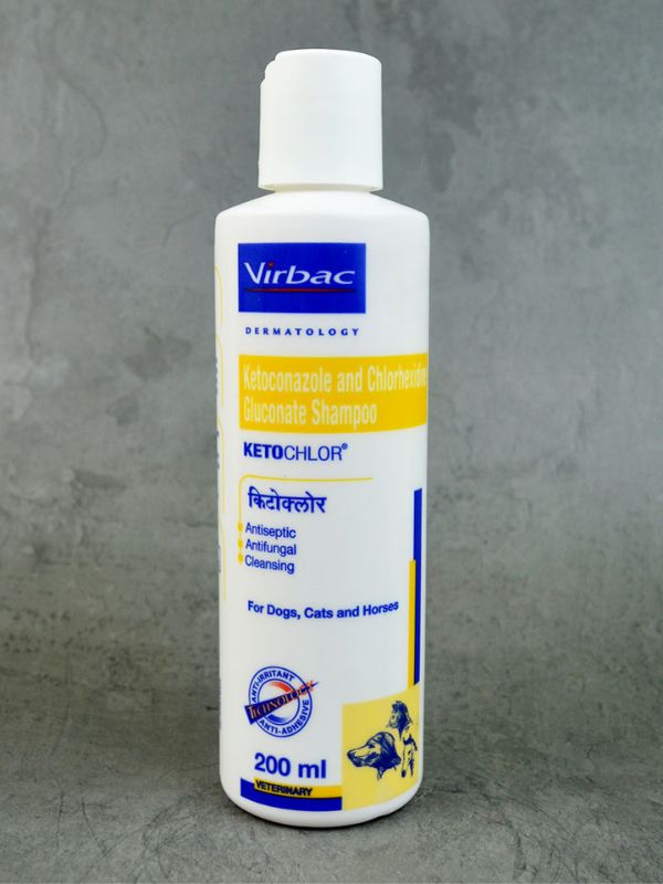 Best 10 Natural Antifungal Dog Shampoos For Dog'S Skin Healthy 29 Antifungal Dog Shampoos