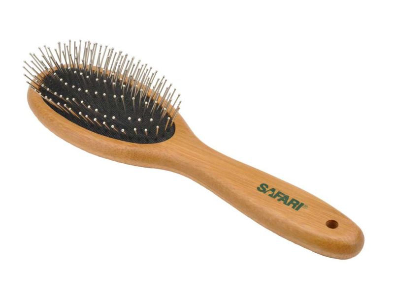 17 Best Professional Dog Grooming Tools For Pups Look Great