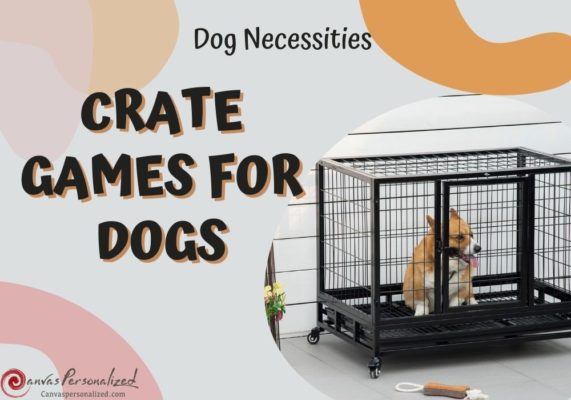 10 Crate Games For Dogs To Keep Your Pup Happy &Amp; Entertained