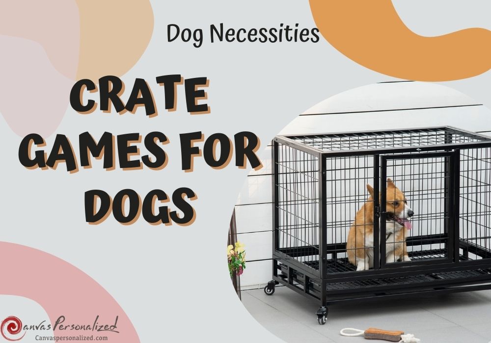 10 Crate Games For Dogs To Keep Your Pup Happy & Entertained