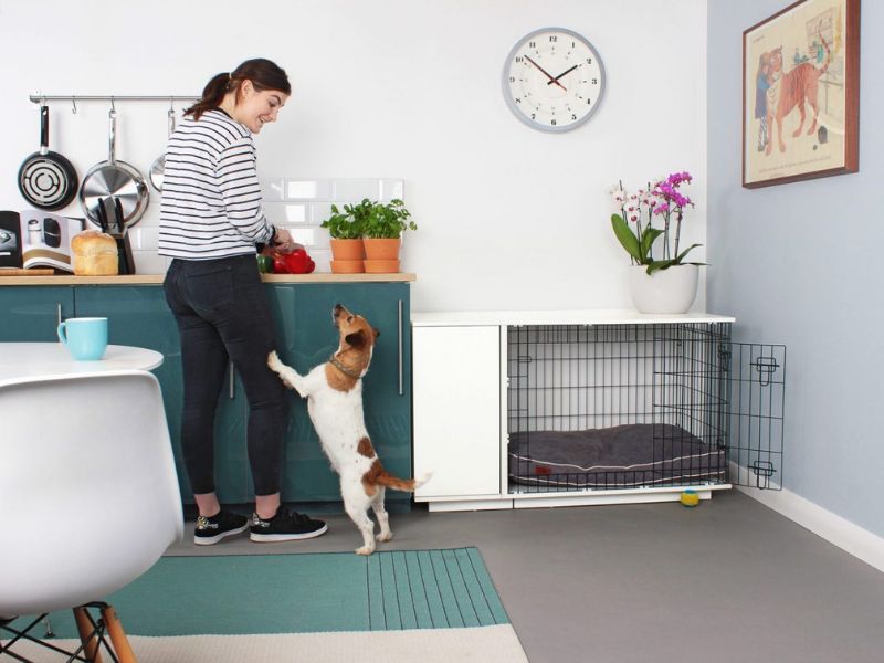 10 Crate Games For Dogs To Keep Your Pup Happy &Amp; Entertained 23 &Quot;Let Me In!&Quot; Dog Crate Game