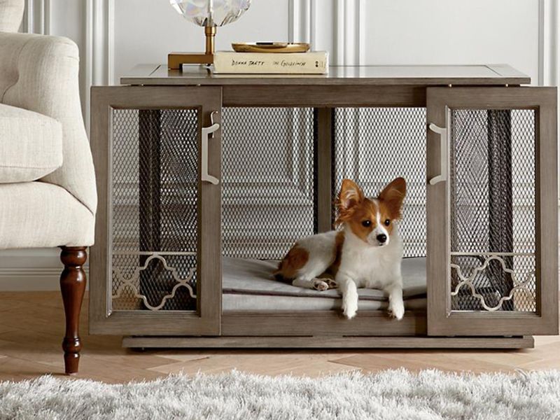 10 Crate Games For Dogs To Keep Your Pup Happy &Amp; Entertained 27 Positive Association Between Dog And Crate
