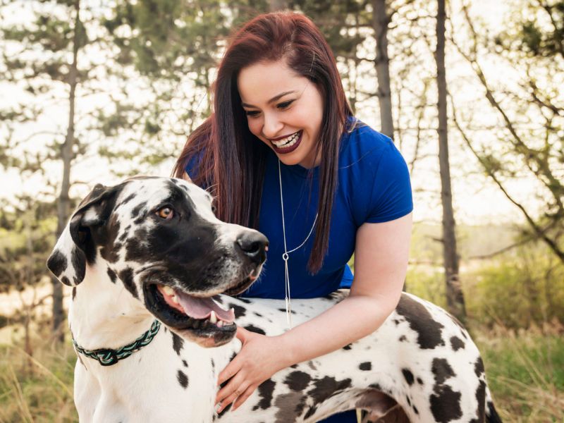 Discovering The Great Dane Dog Breed: A Comprehensive Guide 31 Adoption For A Dog Great Dane
