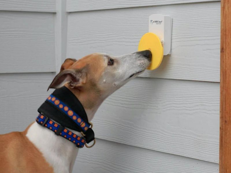 Bell Training For Dogs: A Step-By-Step Guide To Potty Train And More 17 Dog Bells For Potty Training