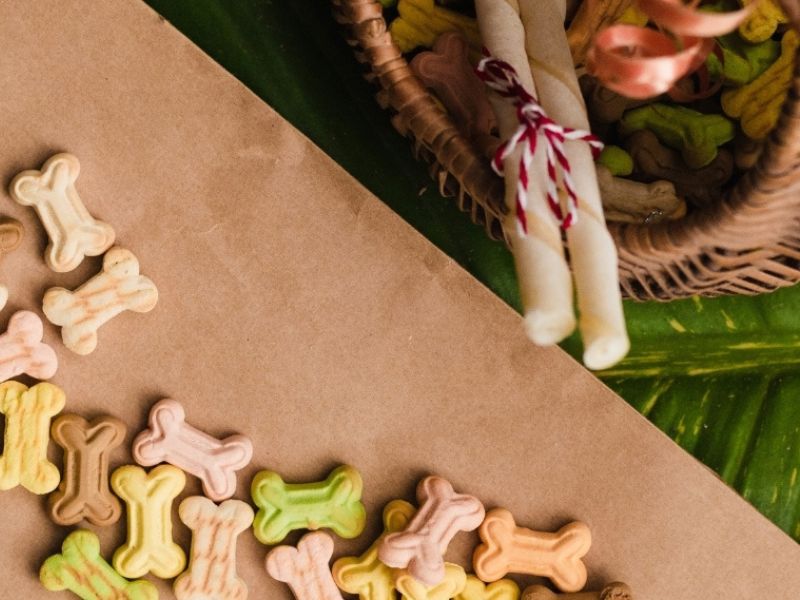 The 10 Low Protein Dog Treats With Special Dietary Needs 23 What Are Low Protein Treats For Dogs?