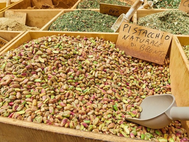 Exploring Pet Diet: Can Parrots Eat Pistachios Without Any Risks? 9 Can Parrots Eat Pistachios