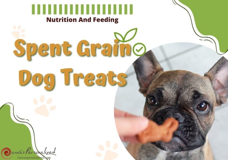 3 Healthy Spent Grain Dog Treats Recipes For Your Pup