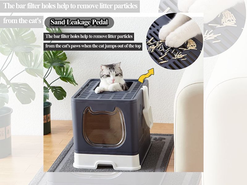 how to litter box train a cat step 2