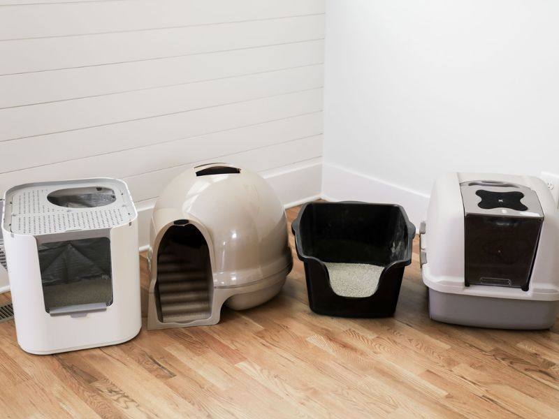 multiple litter boxes - three boxes for two cats